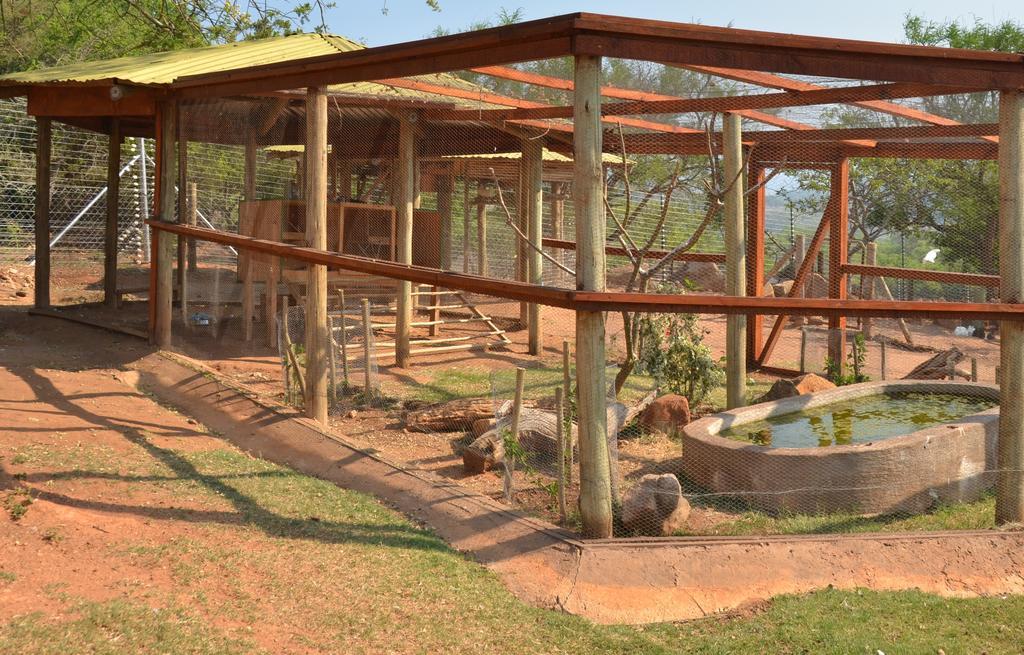 Ebundu Lodge White River Exteriör bild